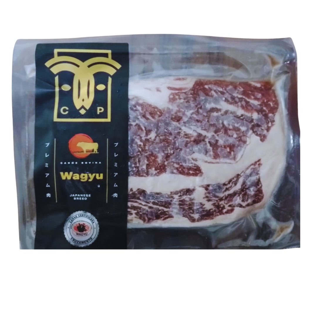 Design sem nome - 2024-04-03T123236.398