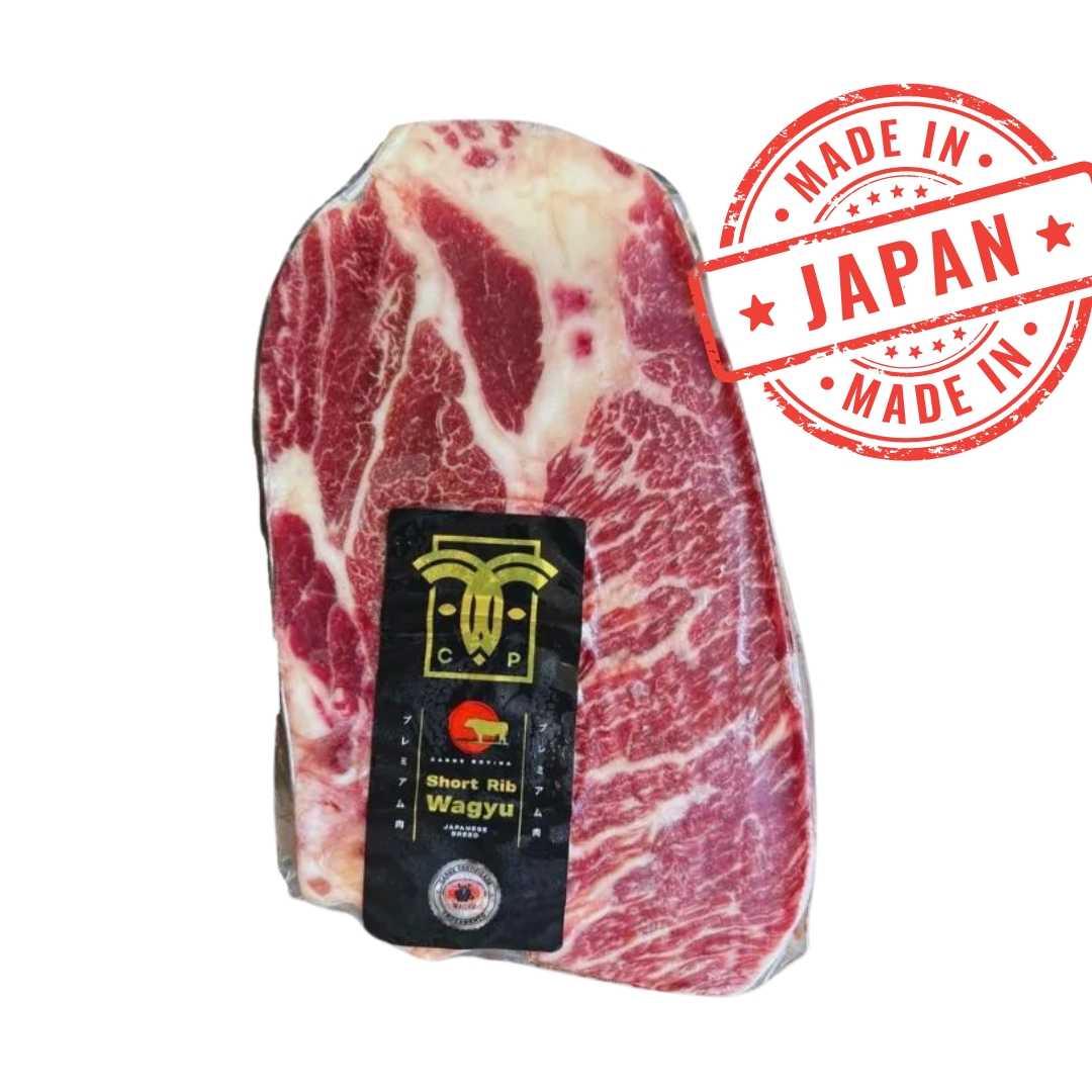 Design sem nome - 2024-04-17T105231.419